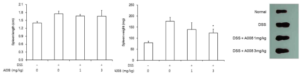 Effects of A008 on the Spleen length and weight of DSS-induced colitis. Mice spleen samples were collected on the day of sacrifice. (a) spleen length of each group. (b) spleen weight of each group.(c) Macroscopic images of the spleen