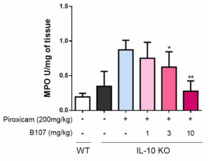 B107 effect on myeloperoxidase level in IL-10 knock out mice. * p < 0.05 versus piroxicam group. **p < 0.01 versus piroxicam group