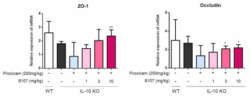 Effects of B107 on mRNA level of tight junction molecules in IL-10 knock out mice. mRNA expression of ZO-1 and occludin was measured by real-time PCR. Fold-changes are expressed as the mean ± SD (n= 3-5 per group). * p < 0.05 versus piroxicam group. **p < 0.01 versus piroxicam group