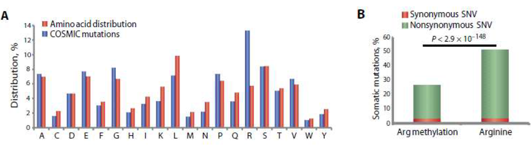 체세포 돌연변이가 발생하는 아르기닌