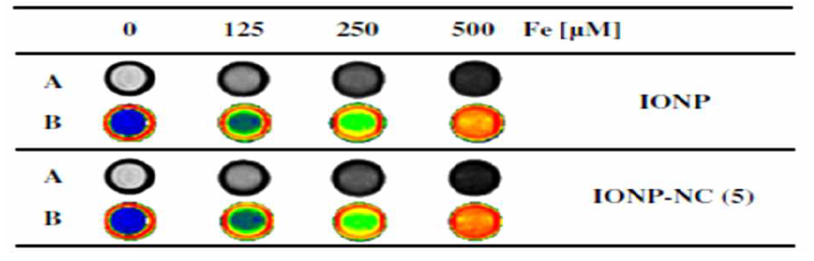 Iron oxide nanoparticle (IONP)와 5 wt% IONP를 포함하는 나노입자 (IONP-NC (5))의 T2 MR 이미징 능력 (From Ref. J . control. Release., 2012, 162, 267-275)