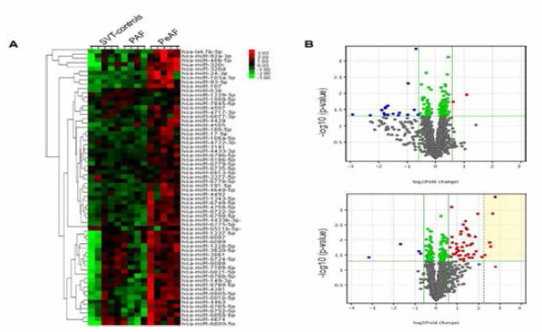 miRNAs. microarray 분석. (A) Heatmap. upregulation (red) and downregulation (green). (B) Vilcano plots of the miRNA profile of PAF (upper panel) and PeAF (lower panel) as conpared with those of non-AF