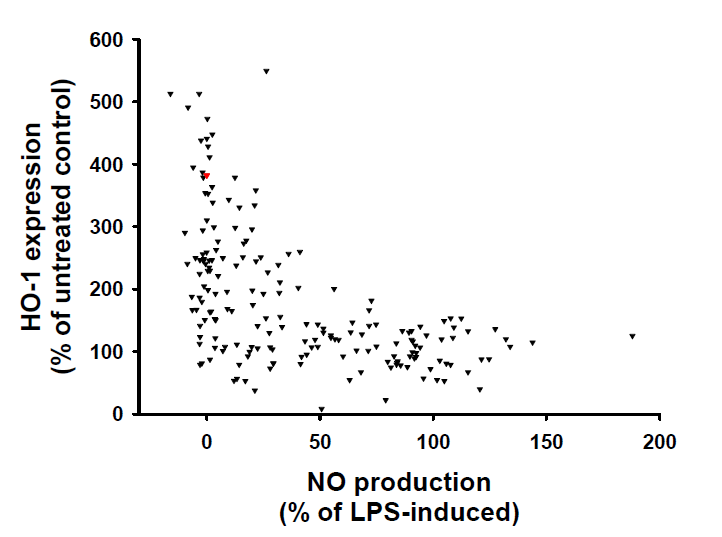 Antioxidant and anti-inflammatory effects of the compounds screened