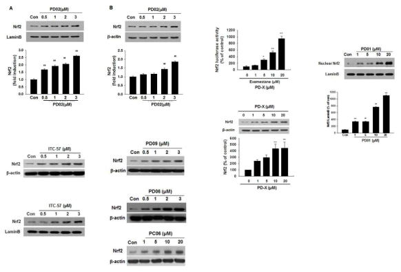 Activation of Nrf2 signaling by the selected compounds