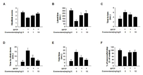 MPTP 투여 동물에서 exemestane의 파킨슨관련 운동장애 방지 효과