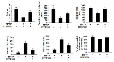 MPTP 투여 동물에서 MTPP096의 파킨슨관련 운동장애 방지 효과