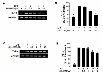 BV-2 소교세포에서 UHL-220의 염증물질 생성 억제 효과