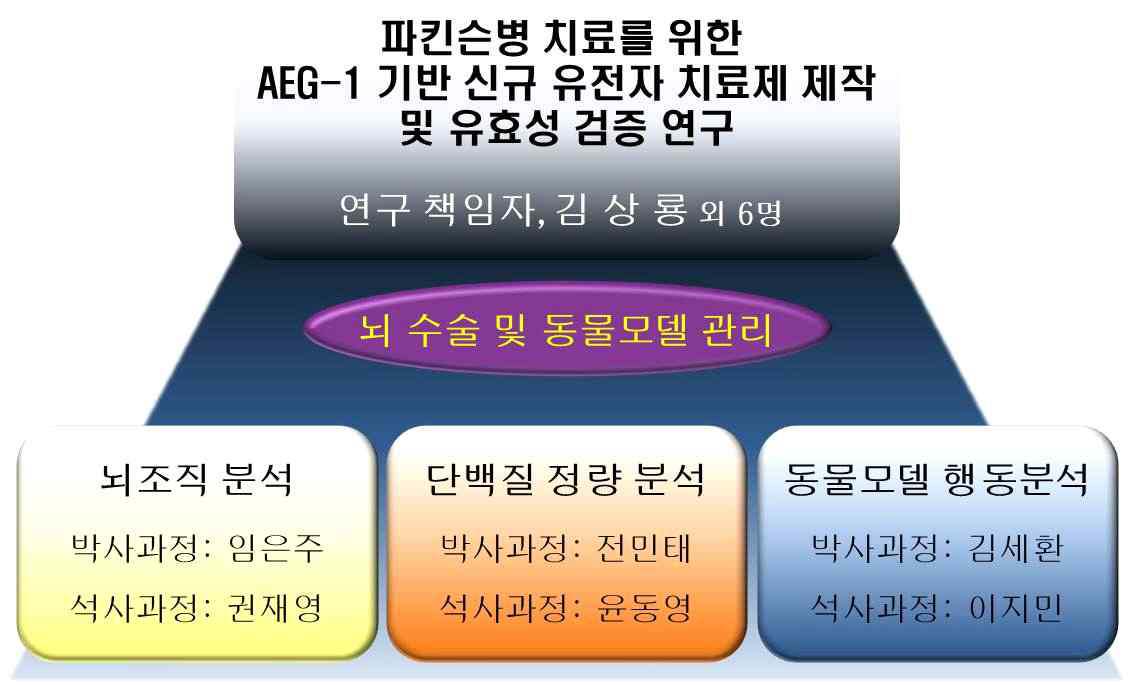 연구개발 추진체계도