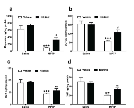 Nilotinib에 의한 도파민 양적 변화 Karuppagounder et al., 2014 Sci. Rep