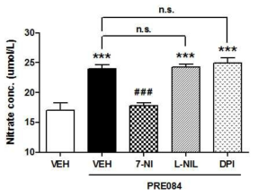 Nitric oxide 생성 효소 억제제 전처치에 따른 sigma-1 수용체 효능제 PRE084에 의한 Nitric oxide 생성 증가의 변화