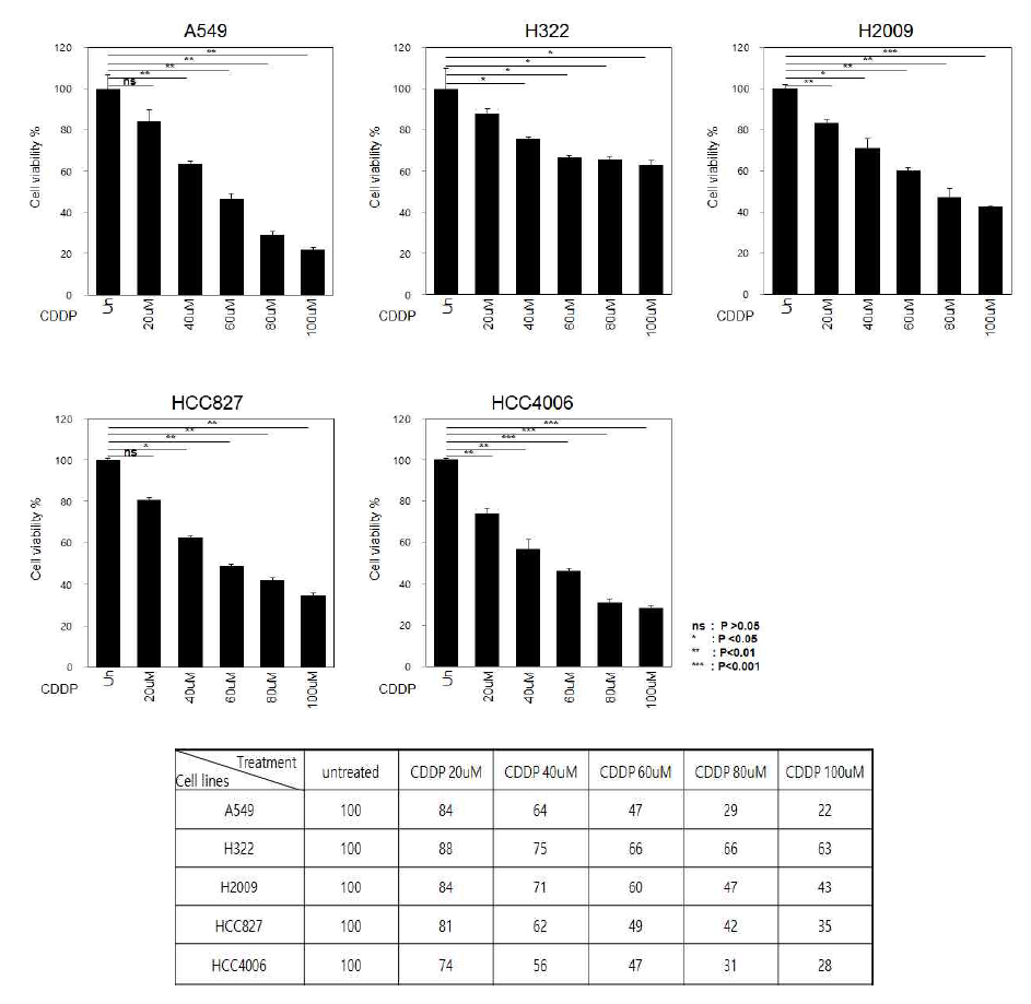 5종의 폐암세포주에서 cisplatin 농도에 따른 cell viability (%) 측정