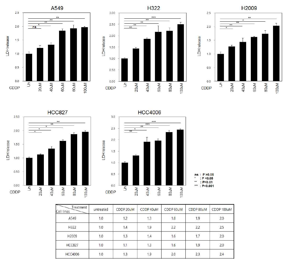 5종의 폐암세포주에서 cisplatin 농도에 따른 LDH cytotoxicity (fold induction) 측정