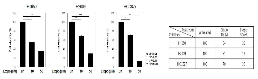 3종의 폐암세포주에서 etoposide 농도에 따른 cell viability (%) 측정