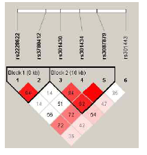 LD patterns of SLC1A1