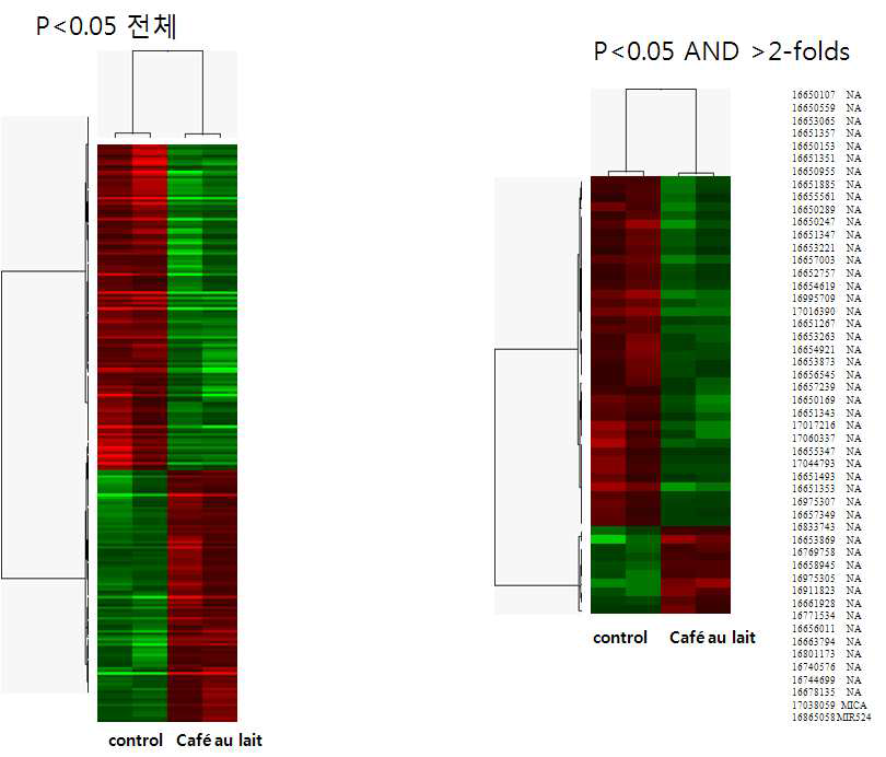 밀크커피 반점 gene array 결과