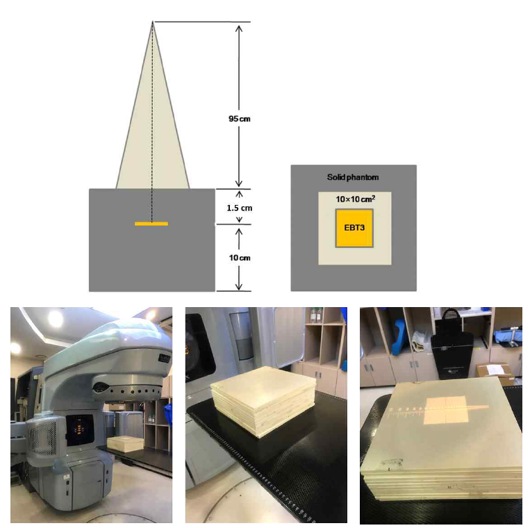 6MV X-선 튜브를 이용한 EBT3 필름 캘리브레이션