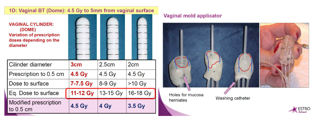 applicator 에 따른 처방 선량 확인 및 vaginal mold applicator