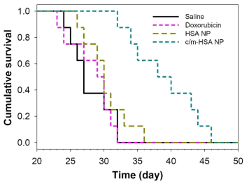 saline, Dox, HSA NP, c-HSA NP, m-HSA NP 및 c/m-HSA 투여처리된 NP U87MG 종양유도된 마우스의 Kaplan–Meier survival curves