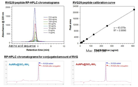 RVG29의 표면밀도 HPLC 분석
