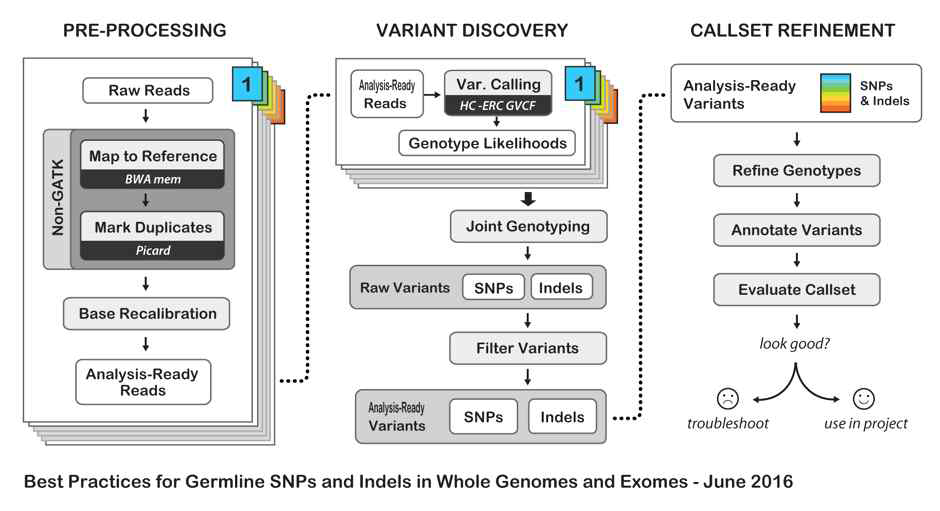 GATK Haplotypecaller SNP calling pipeline