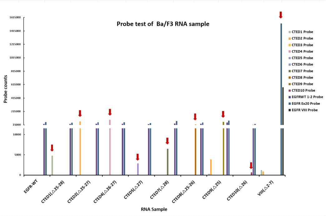 각각의 EGFR C-terminal 결실 돌연변이가 과발현 된 Ba/F3 세포주의 RNA를 이용한 디자인된 probe의 유효성 검증