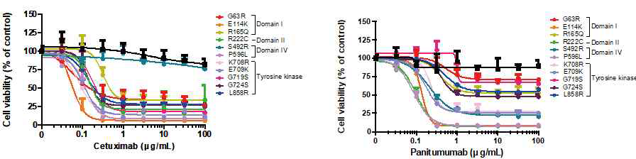 EGFR 점돌연변이 과발현 Ba/F3 세포주에서의 cetuximab과 Panitumumab 감수성