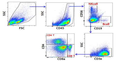 삼중음성유방암 유래 배양된 종양침윤림프구의 구성 FACS 분석. 혈액세포 중 (CD45+) B 세포 (CD19+CD56-), NK 세포 (CD56+CD19-), CD4 T (CD56-CD19-CD3+CD4+) 그리고 CD8 T (CD56-CD19-CD3+CD8+) 세포의 비율을 보여주는 대표적 FACS plot