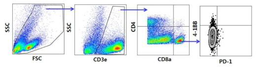T 림프구 활성도 FACS 분석. 4-1BB와 PD-1 을 같이 분석함