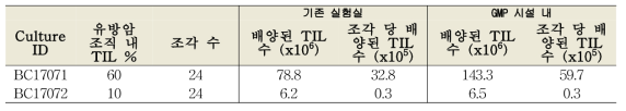 GMP 시설 내 종양침윤림프구 배양