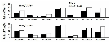 조직으로부터 배양 시 CD4+ 및 CD8+ T 세포 내 에서의 TCM 비율