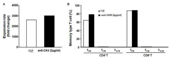 종양침윤림프구의 대량 배양에 대한 anti-OX40 항체의 영향