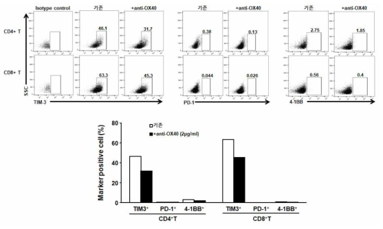 종양침윤림프구의 대량 배양 시 T 세포의 활성화 및 억제인자의 분포에 대한 anti-OX40 항체의 영향