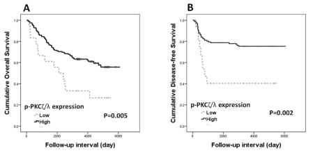 p-PKCζ/λ 발현에 따른 Kaplan-Meier survival curves. A) 전체생존률, B) 무질병생존율