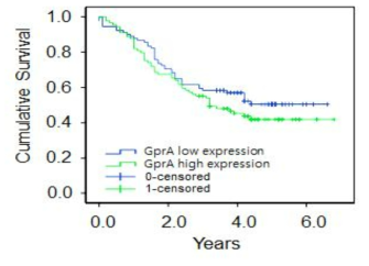 Gpr-A 발현에 따른 위암환자 생존율 분석