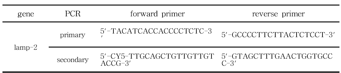 Nested-PCR에서 사용된 각 primer들의 염기서열