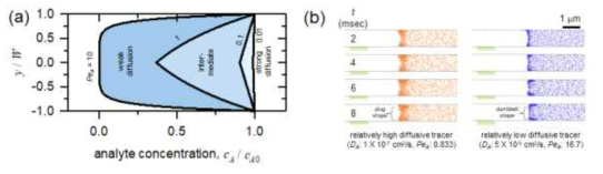 (a) PeA에 따른 정규화된 전하를 띈 해리물질의 농도 (b) 상대적으로 확산 계수가 큰 입자와 작은 입자의 시간에 따른 랑제방 동역학 시뮬레이션