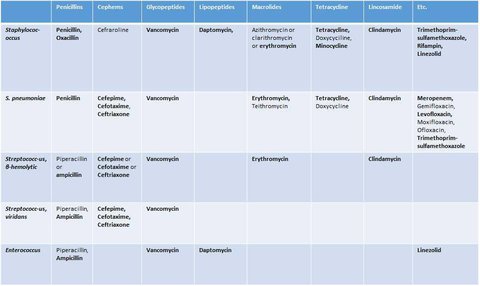 CLSI 가이드라인에서 제시하는 그람 양성 균주용 검사 대상 항생제 목록