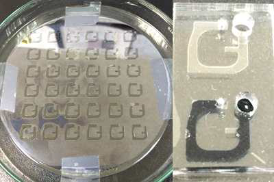 실험을 통한 PDMS 칩의 검증