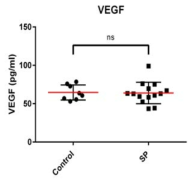 SP 피하 투여 이후 혈청 VEGF 농도