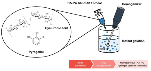 HA-PG 마이크로 파티클 형성 모식도