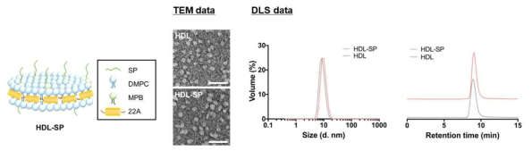 HDL-SP 제작 및 물리적 특성 분석