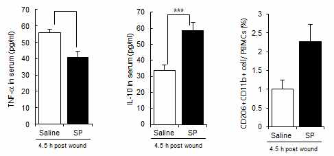 허혈성 궤양 모델에서 SP 주사 후 4.5 시간내 혈중 염증/항염증 지표 평가