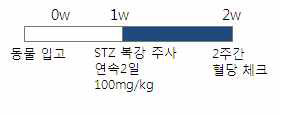 당뇨 유발을 위한 STZ 주사 일정 및 혈당 체크