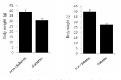 당뇨 유발에 따른 몸무게 변화