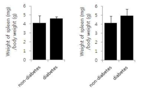 당뇨 유발에 따른 spleen 무게