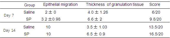 Hong et al (2014)를 참고로 하여 epithelial migration 과 granualtion tissue thickness의 Scoring함