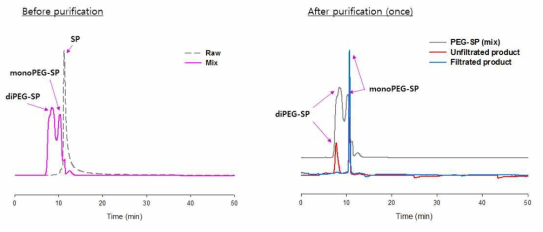 PEG-SP 분리·정제 전/후의 gel permeation chromatography (GPC) 분석