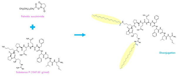 Palmitate-SP 제형 합성 화학반응식