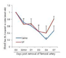 Ischemic ulcer model에서 SP에 의한 혈류량 회복