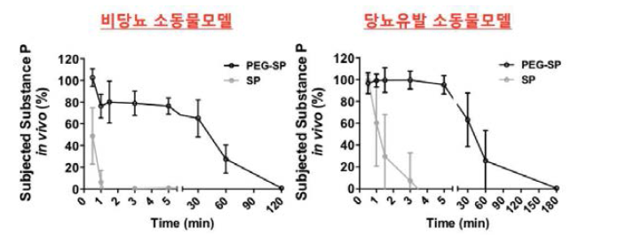 비당뇨/당뇨 소동물 모델에서 SP와 PEG-SP의 체내 반감기 분석